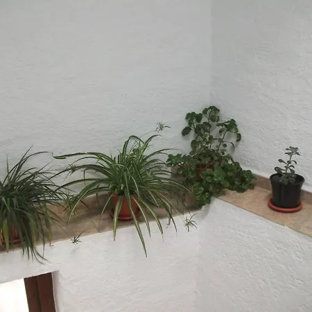 بيت للعطل Charming House In With View *